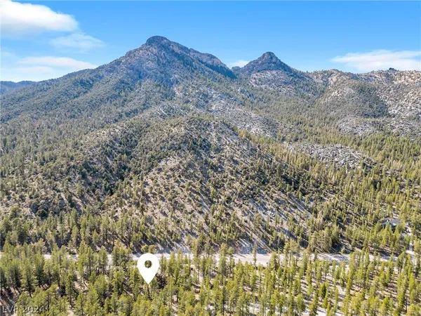 $450,000 | Lee Canyon Road, Mount Charleston, NV 89124