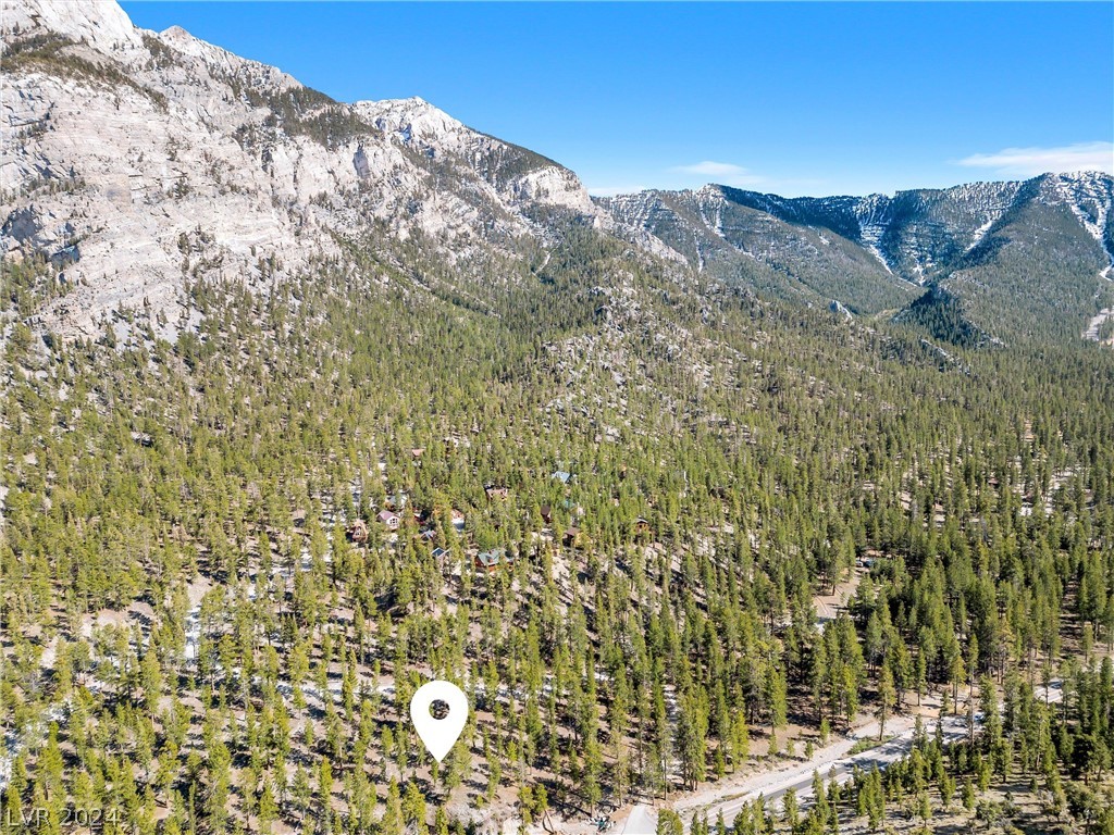 Lee Canyon Road Mount Charleston, NV 89124 - Photo 31 of 54