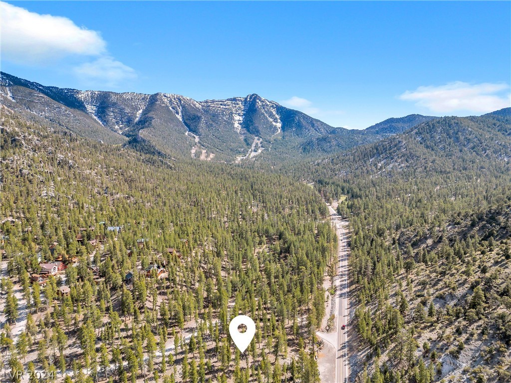 Lee Canyon Road Mount Charleston, NV 89124 - Photo 32 of 54