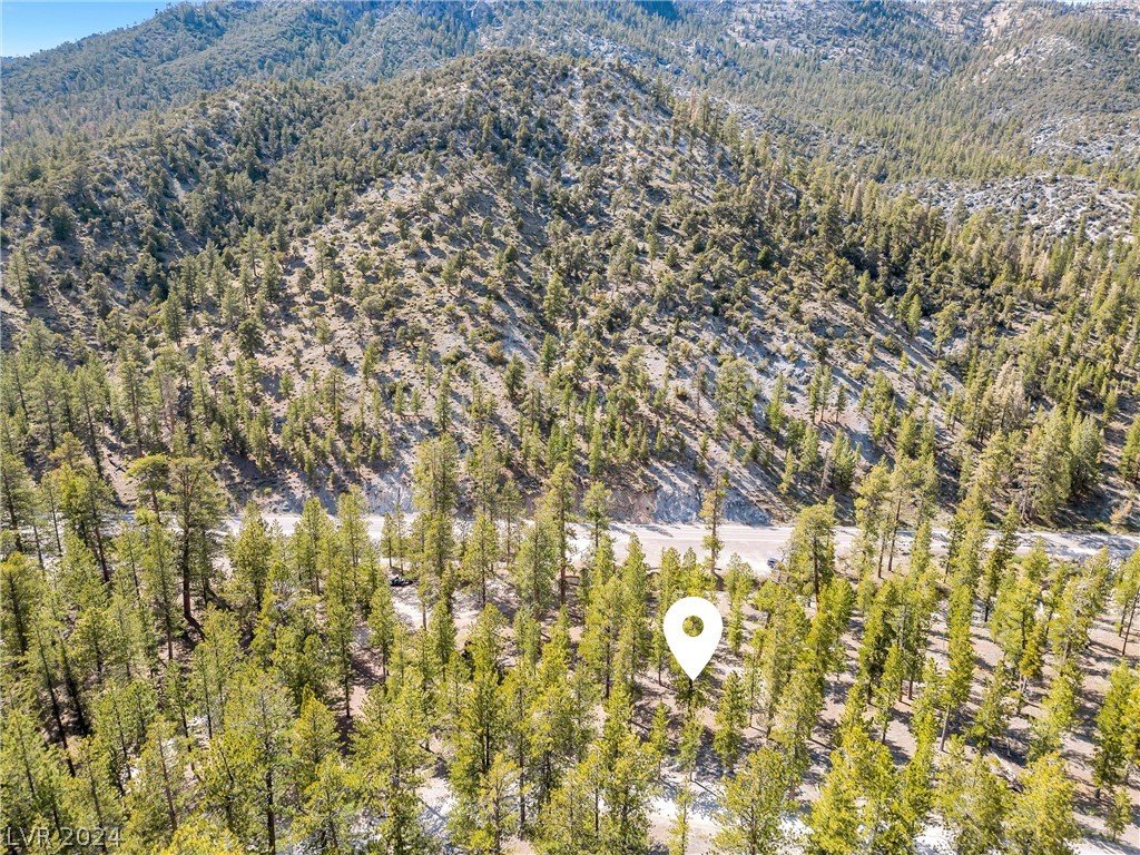 Lee Canyon Road Mount Charleston, NV 89124 - Photo 33 of 54