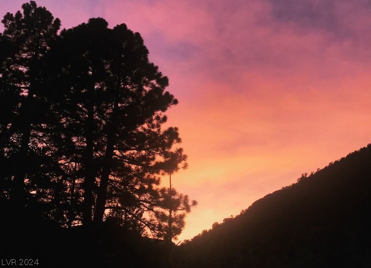 Lee Canyon Road Mount Charleston, NV 89124 - Photo 35 of 54 Mt. Charleston area - stunning sunsets!