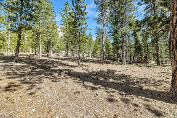 $450,000 | Lee Canyon Road, Mount Charleston, NV 89124