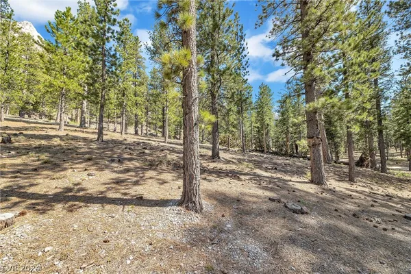 $450,000 | Lee Canyon Road, Mount Charleston, NV 89124