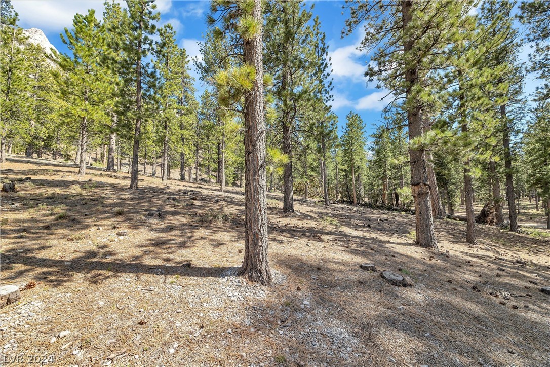 Lee Canyon Road Mount Charleston, NV 89124 - Photo 5 of 54 Buyer and buyers agent to verify site development requirements, including well drilling, septic system installation, building requirements, etc.