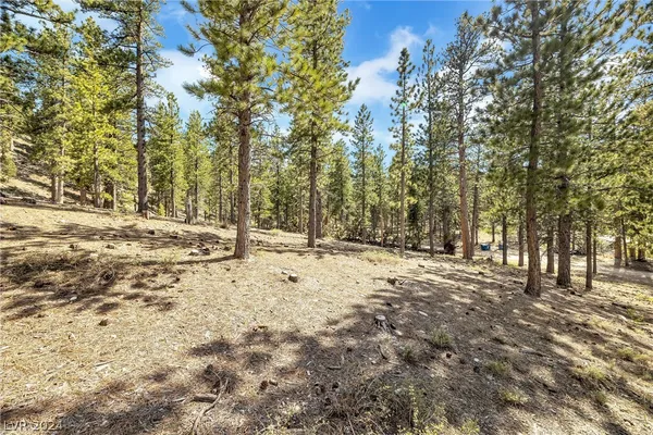 $450,000 | Lee Canyon Road, Mount Charleston, NV 89124