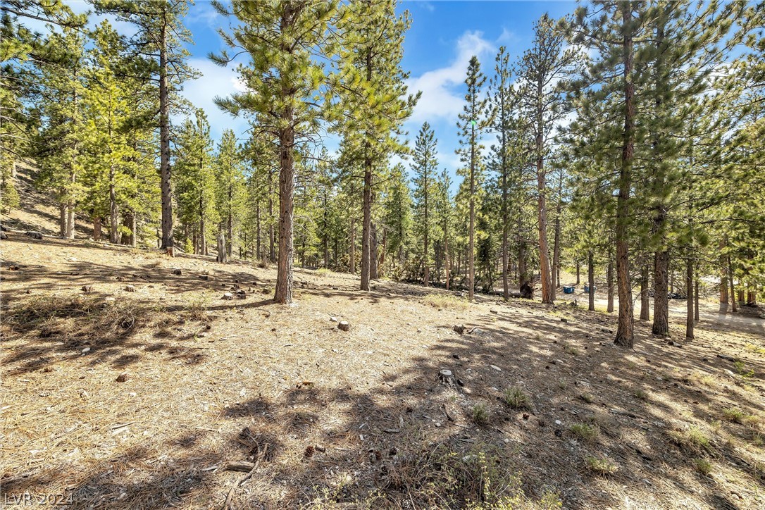 Lee Canyon Road Mount Charleston, NV 89124 - Photo 6 of 54