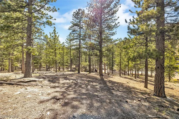 $450,000 | Lee Canyon Road, Mount Charleston, NV 89124