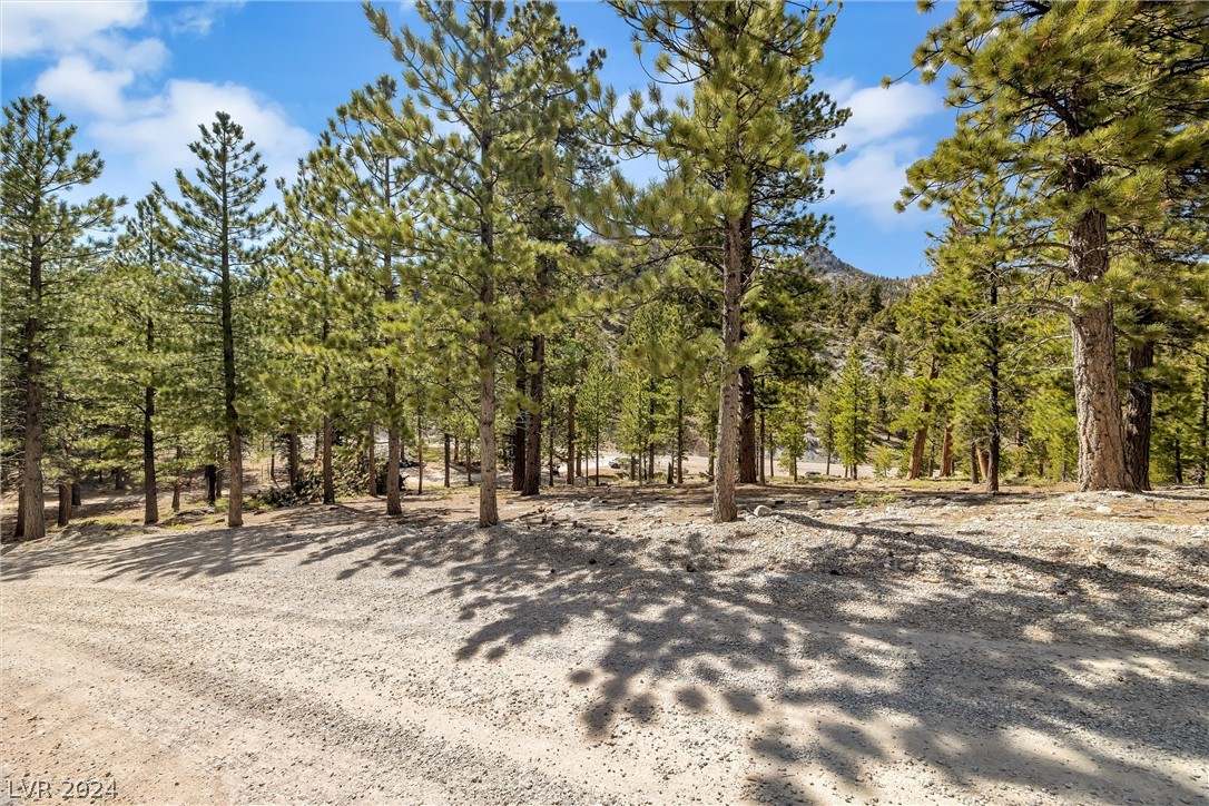 Lee Canyon Road Mount Charleston, NV 89124 - Photo 8 of 54