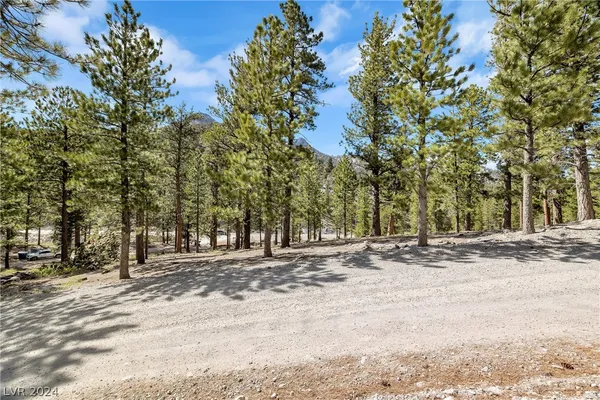 $450,000 | Lee Canyon Road, Mount Charleston, NV 89124