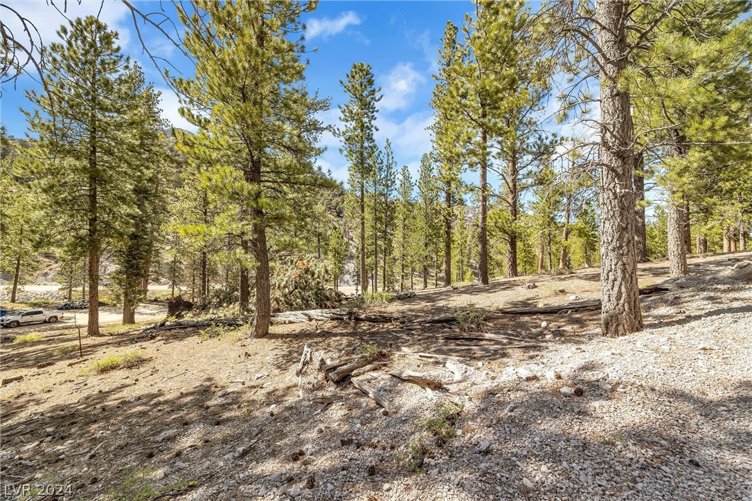 Lee Canyon Road Mount Charleston, NV 89124 - Photo 10 of 54