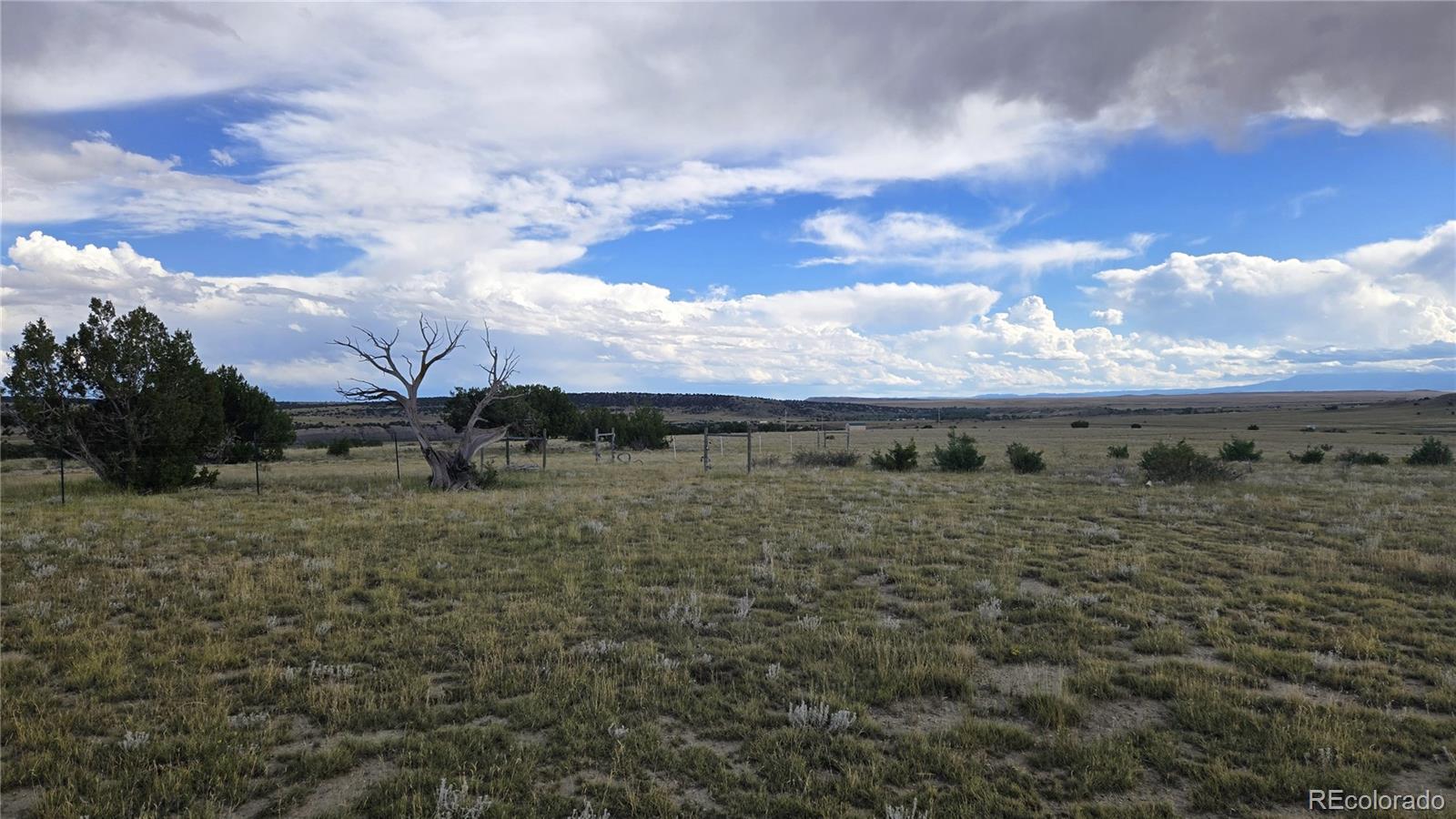 1428 Carlson Road Rye, CO 81069 - Photo 16 of 20 a view of a with large trees