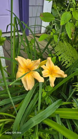 $357,000 | 27 Mountain View Road, Leeds, ME 04263