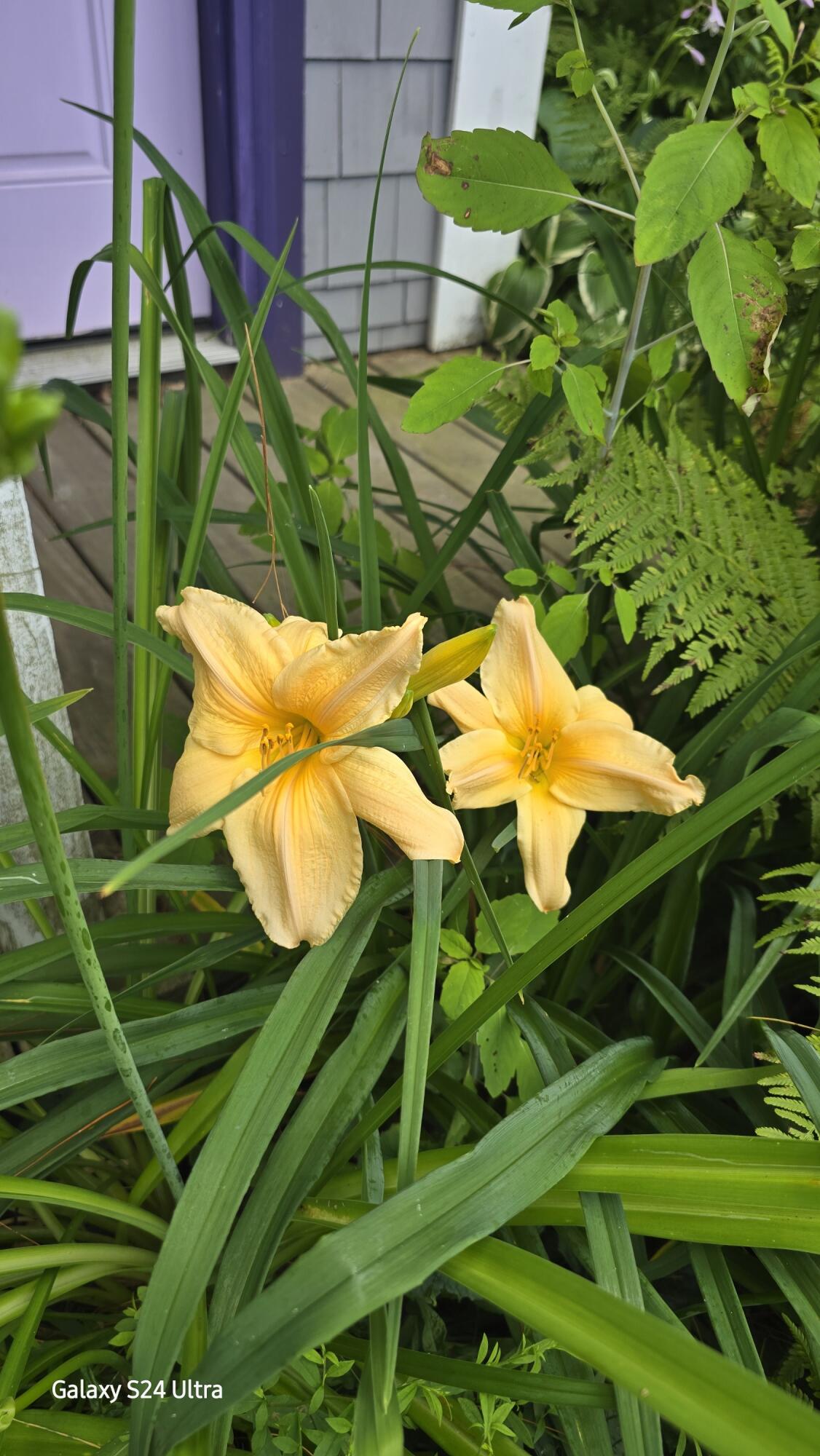 27 Mountain View Road Leeds, ME 04263 - Photo 61 of 105 Flowers