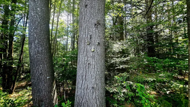 $357,000 | 27 Mountain View Road, Leeds, ME 04263