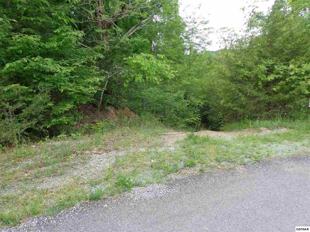801 Bohanan Top Road Sevierville, TN 37876 - Photo 18 of 36 Gallery Image 18