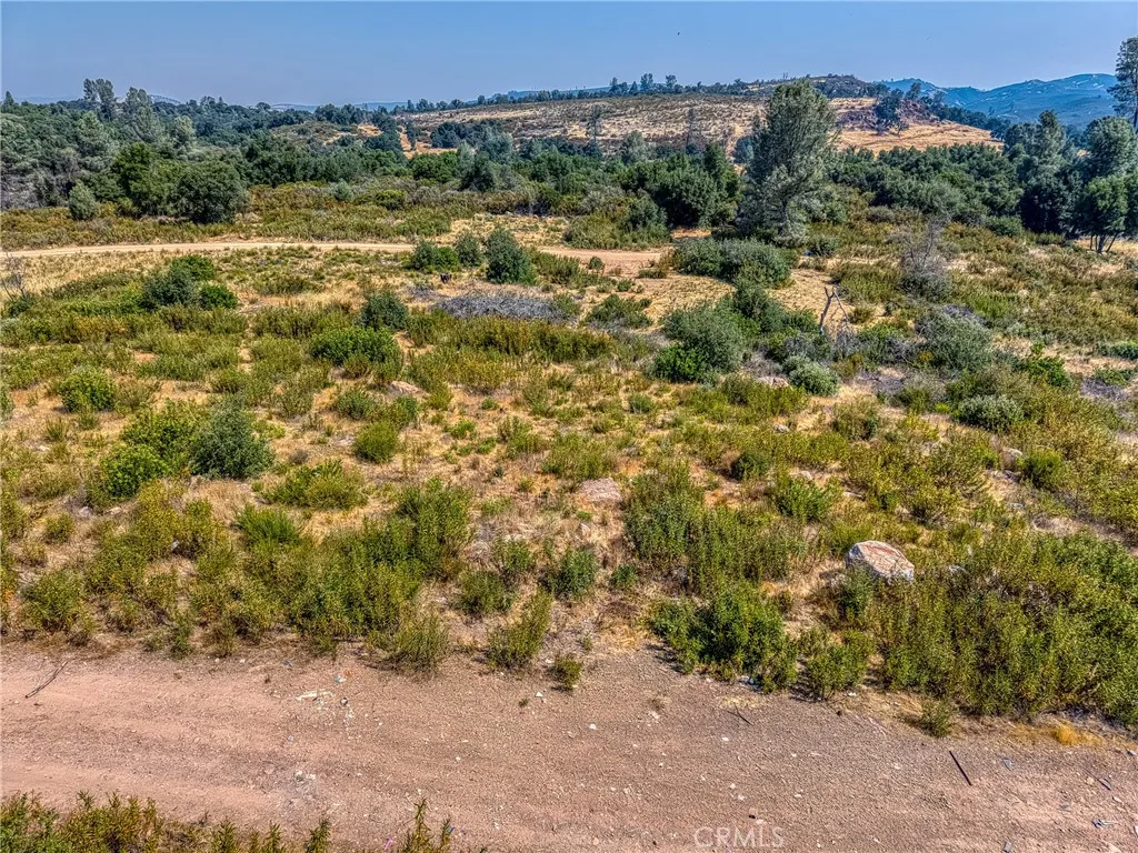 16462 5th Clearlake, CA 95422 - Photo 12 of 16 a view of a big yard with lots of trees