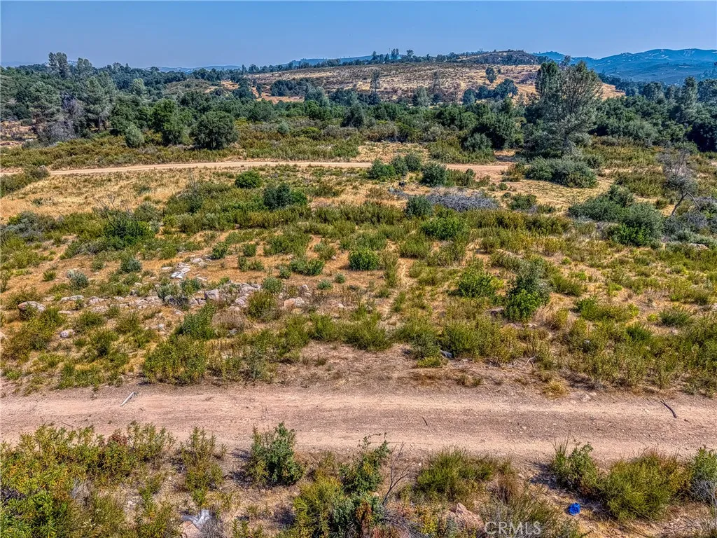 16462 5th Clearlake, CA 95422 - Photo 10 of 16 a view of a yard with a tree