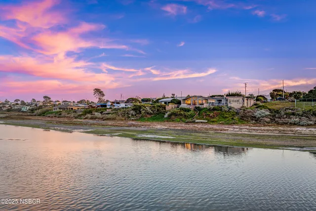 a view of a house with backyard and plants