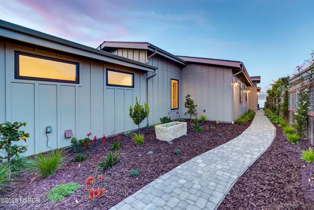 a view of a potted plant in a backyard