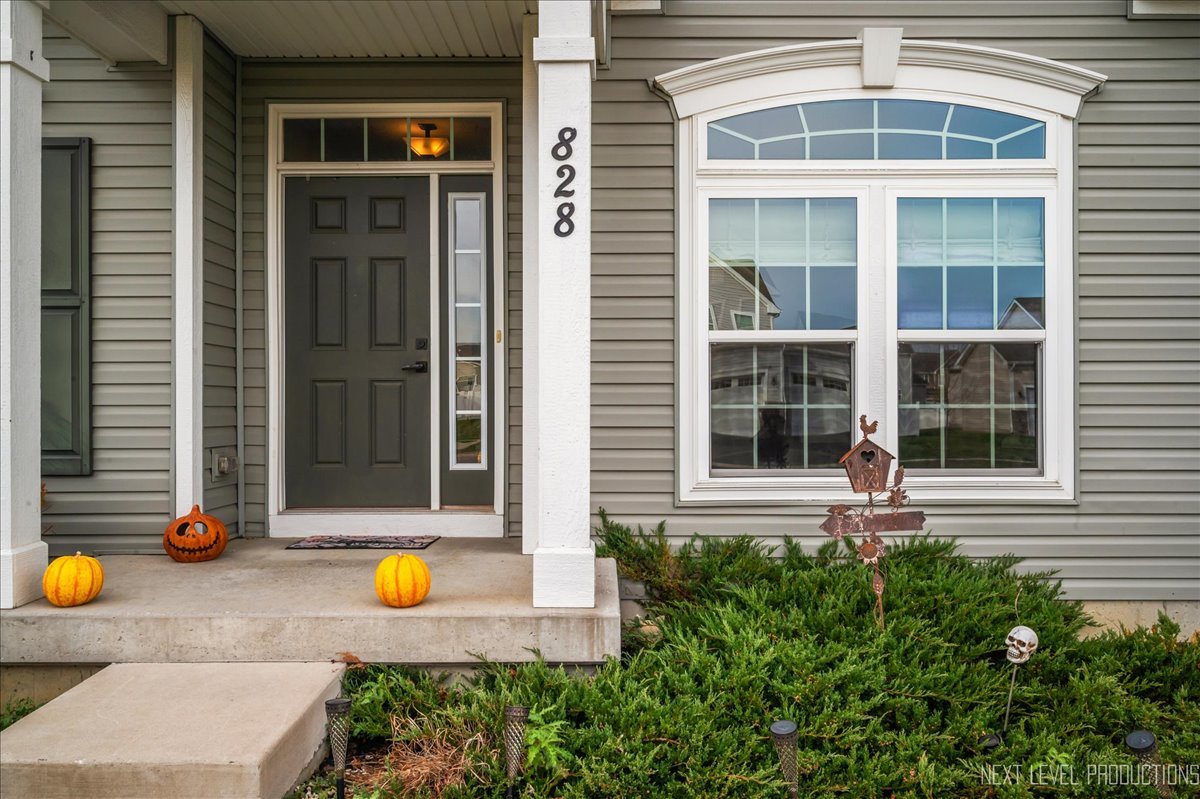 828 Mario Lane Gilberts, IL 60136 - Photo 3 of 32