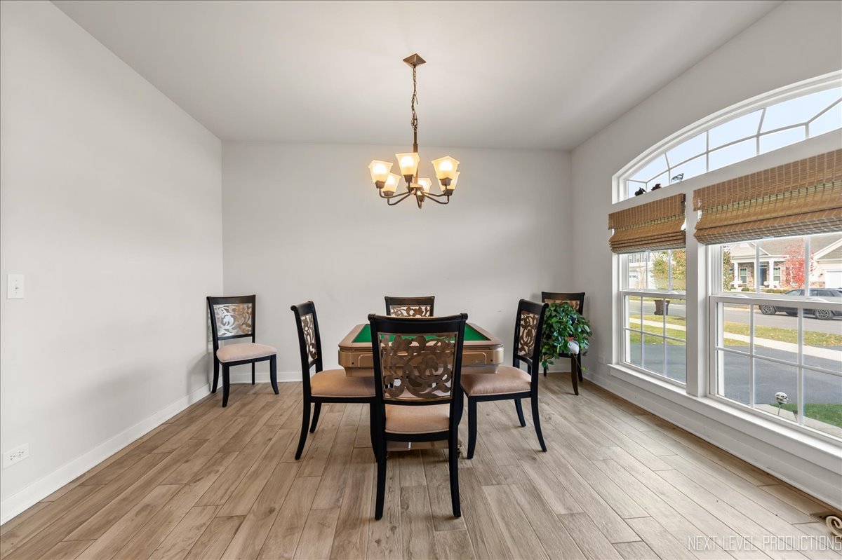 828 Mario Lane Gilberts, IL 60136 - Photo 7 of 32