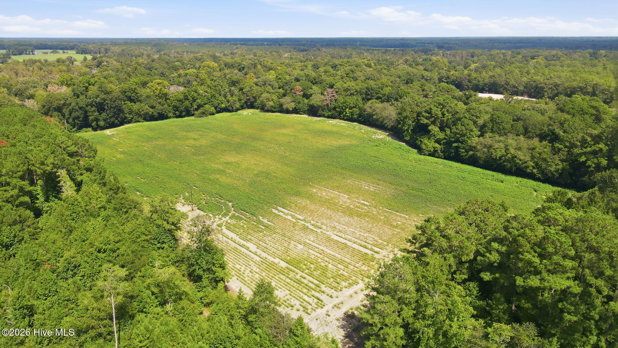 315 Heath Road Trenton, NC 28585 - Photo 23 of 31 Gallery Image 23