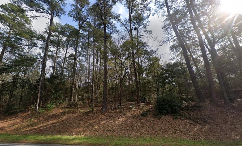 15200 Rogers Road Willis, TX 77378 - Photo 2 of 5