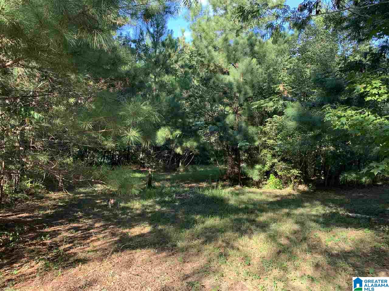 367 Cash Street Ohatchee, AL 36271 - Photo 28 of 37