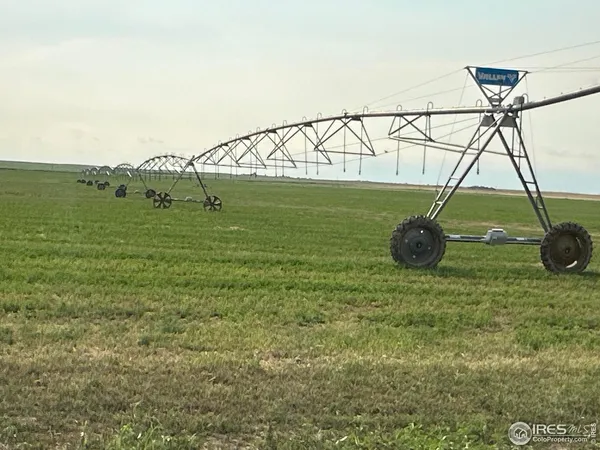 a view of a big yard