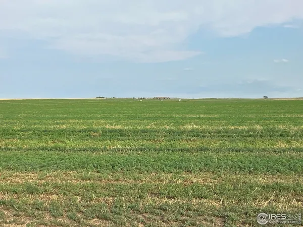 a view of an ocean beach