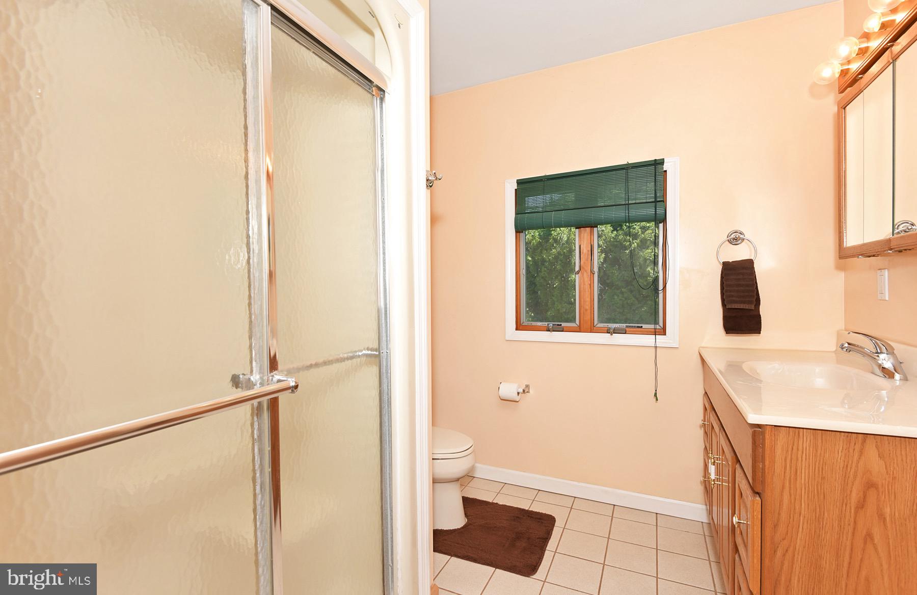 1433 Trenton Harbourton Road Pennington, NJ 08534 - Photo 27 of 36 3rd Bathroom