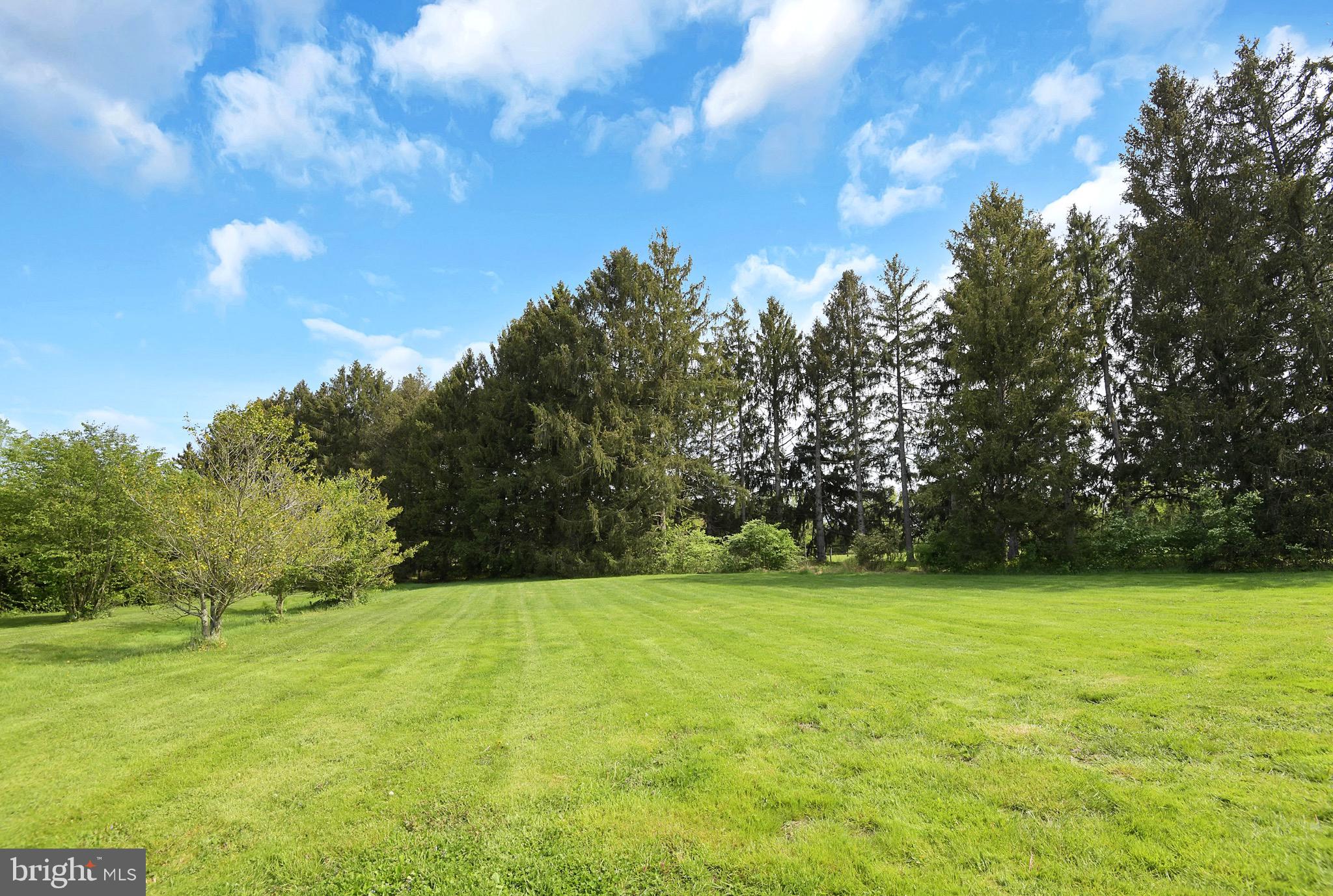 1433 Trenton Harbourton Road Pennington, NJ 08534 - Photo 34 of 36 Back Yard