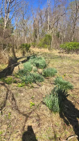 $159,000 | Tbd Huffville Road, Pilot, VA 24138