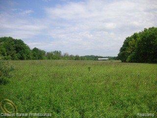 13332 Bemis Road Manchester, MI 48158 - Photo 1 of 25 1332 Bemis Rd. Vacant Land