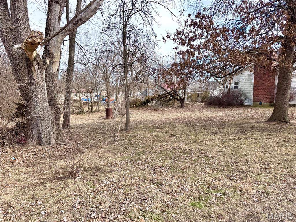 1091 Boone Street Troy, MO 63379 - Photo 14 of 56