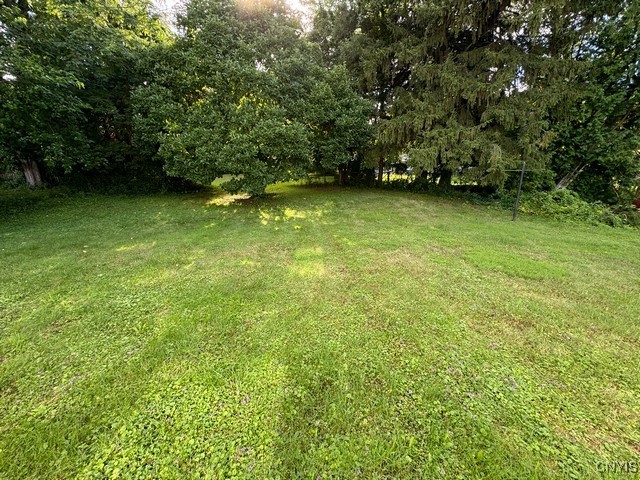 116 Prior Drive Camillus, NY 13031 - Photo 24 of 24