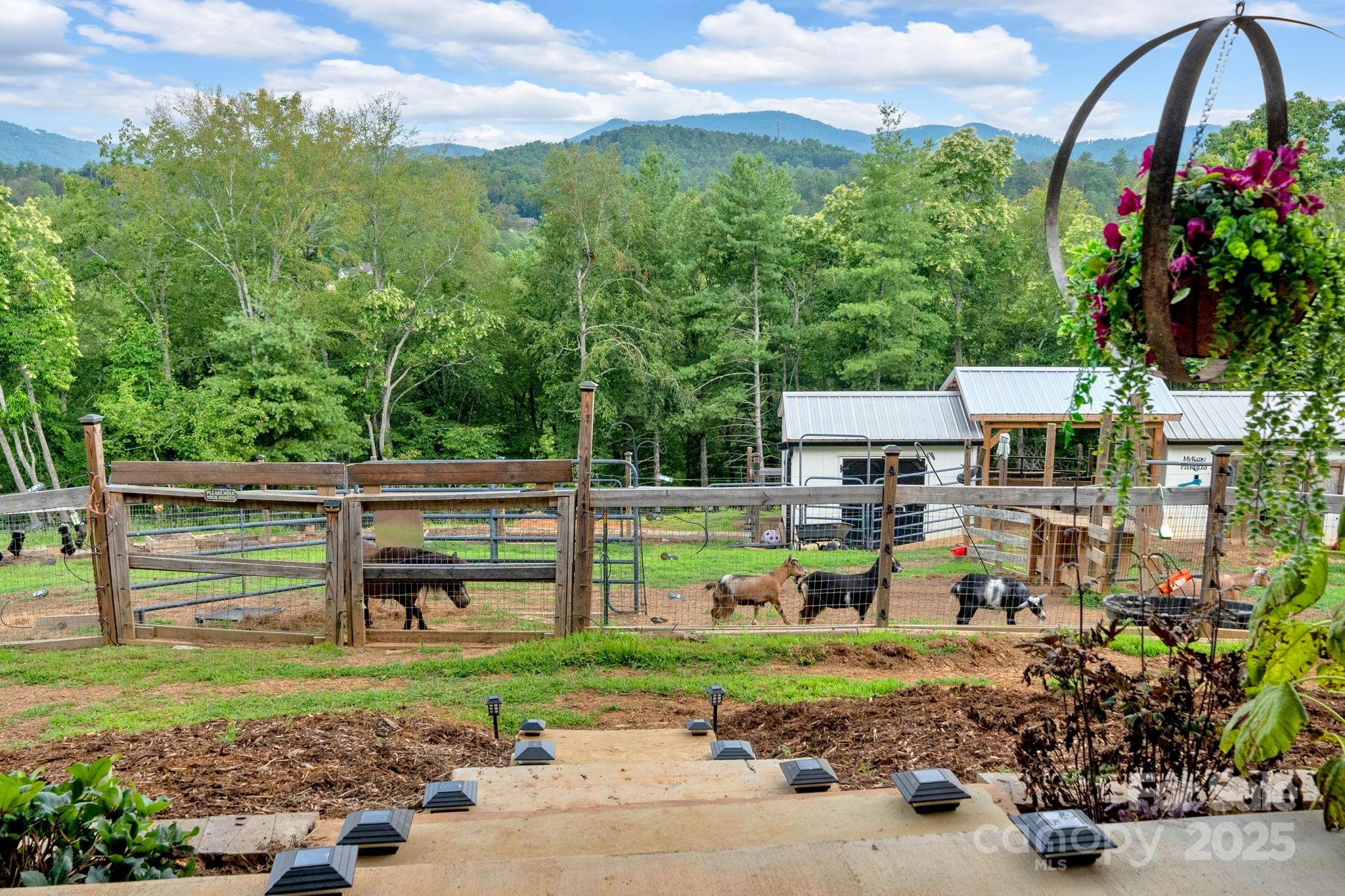 23 Windy Ridge Fairview, NC 28730 - Photo 38 of 47 a view of a kid room