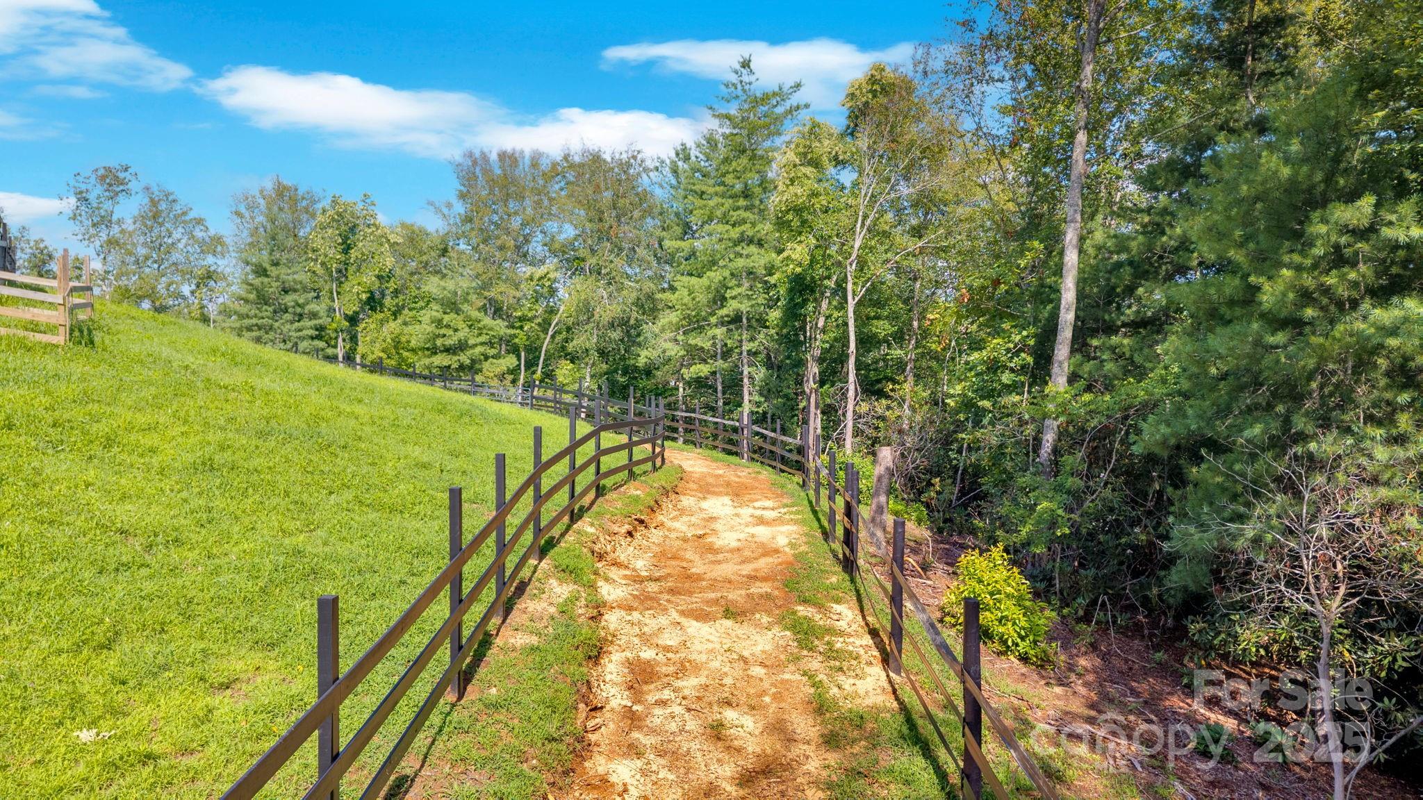 23 Windy Ridge Fairview, NC 28730 - Photo 42 of 47 a view of a yard