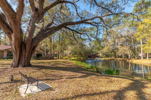a view of a yard with plants and a lake view