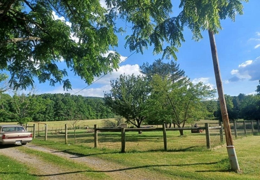 2303 Dry Road Speedwell, VA 24374 - Photo 30 of 49 Gallery Image 30