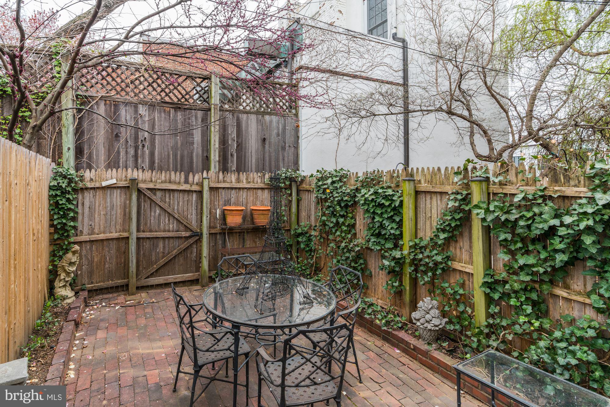 1337 28th Street Northwest Washington, DC 20007 - Photo 13 of 14 Garden