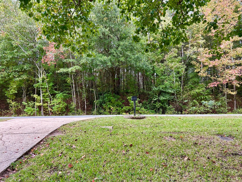 5636 Webb Avenue Columbus, GA 31909 - Photo 49 of 52 a view of a garden with trees