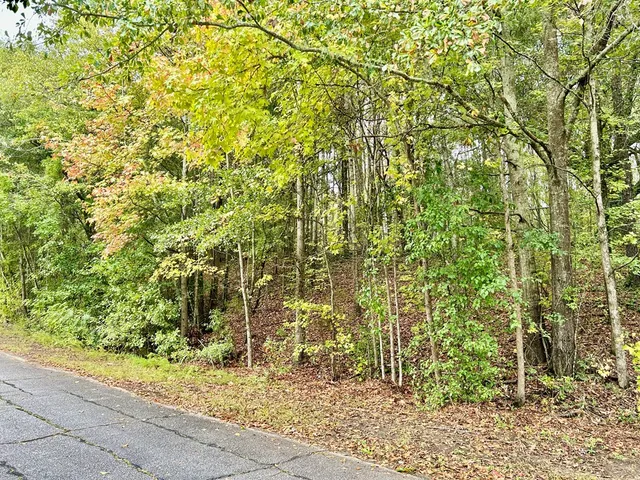 a front view of a house with a yard table and chairs