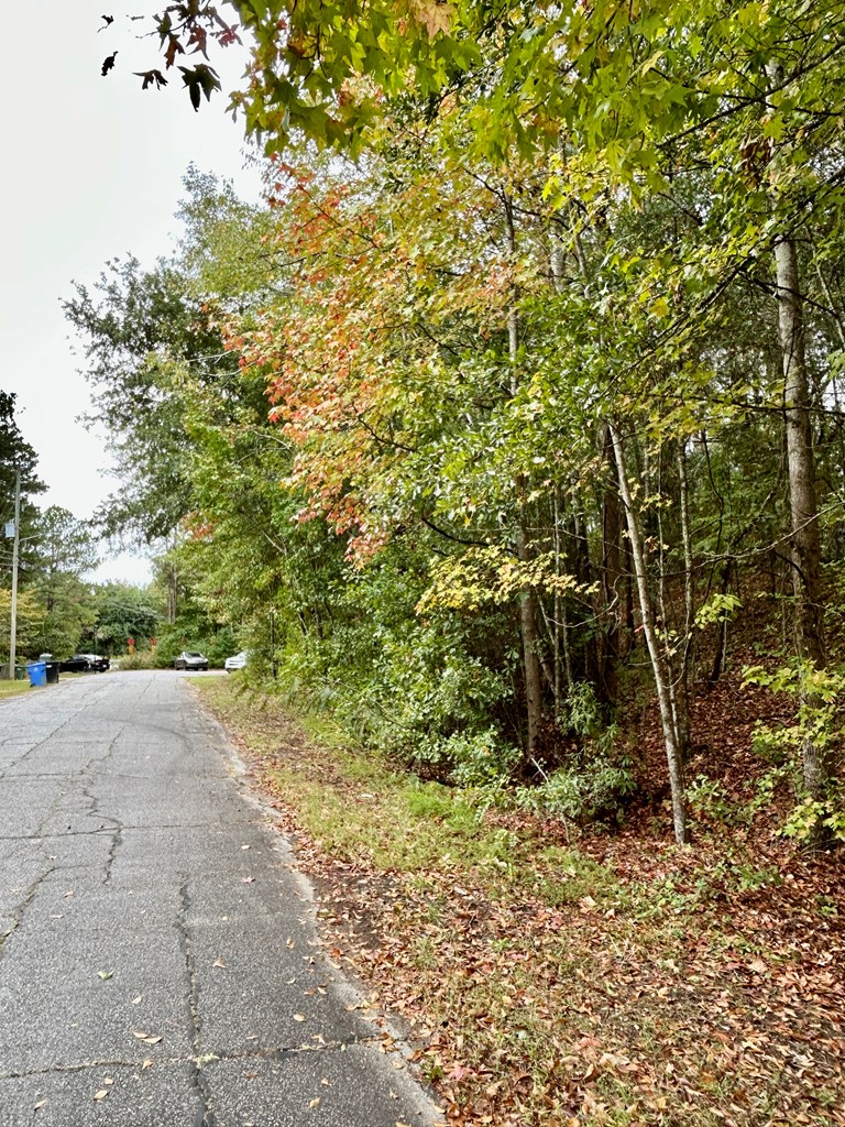 5636 Webb Avenue Columbus, GA 31909 - Photo 51 of 52 a backyard of a house with lots of green space