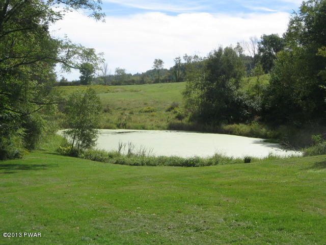401 Canfield Road Tyler Hill, PA 18469 - Photo 25 of 31 Gallery Image 25