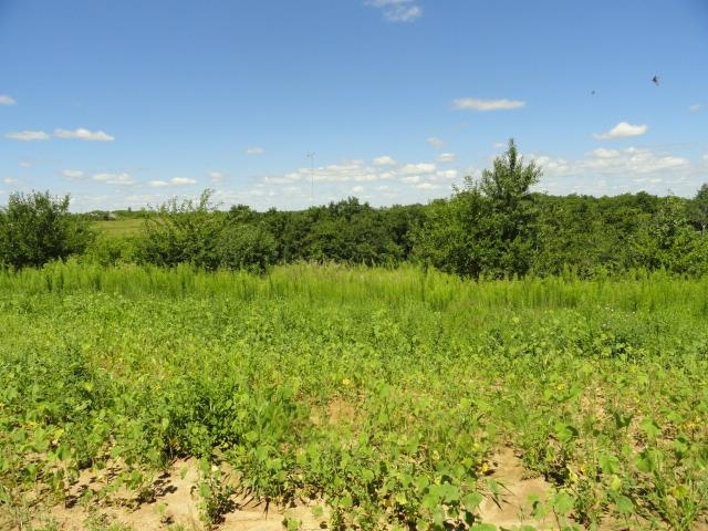 Lot 1 County Road Mount Mount Horeb, WI 53572 - Photo 20 of 39