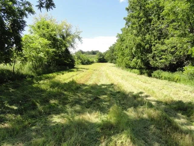 $357,000 | Lot 1 County Road S, Mt Horeb, WI 53572