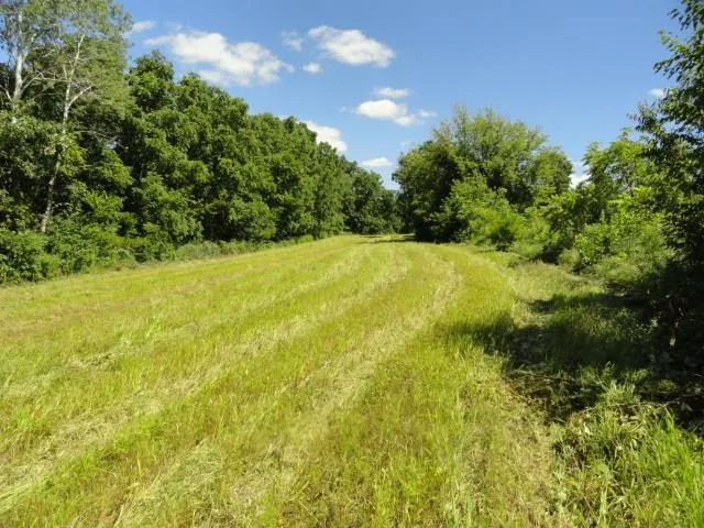 $357,000 | Lot 1 County Road S, Mt Horeb, WI 53572
