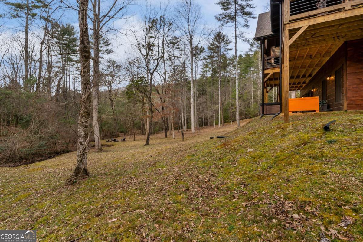 15 Bootleg Mountain Road, Unit 11 Morganton, GA 30560 - Photo 51 of 67 a view of a yard with tree s