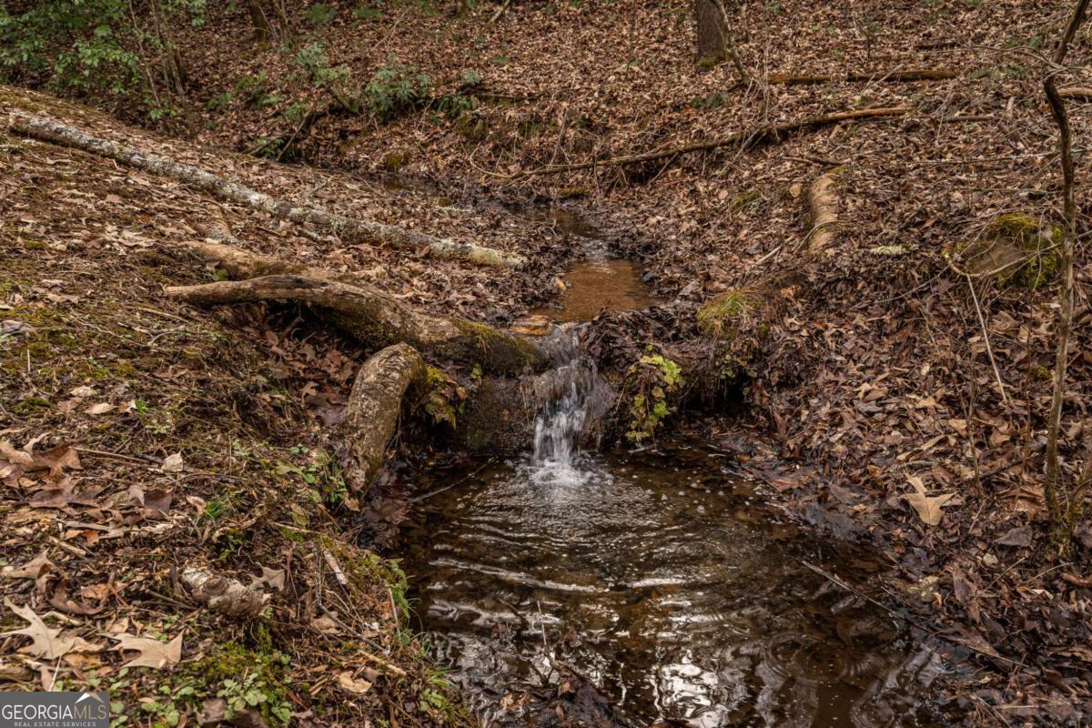 15 Bootleg Mountain Road, Unit 11 Morganton, GA 30560 - Photo 53 of 67